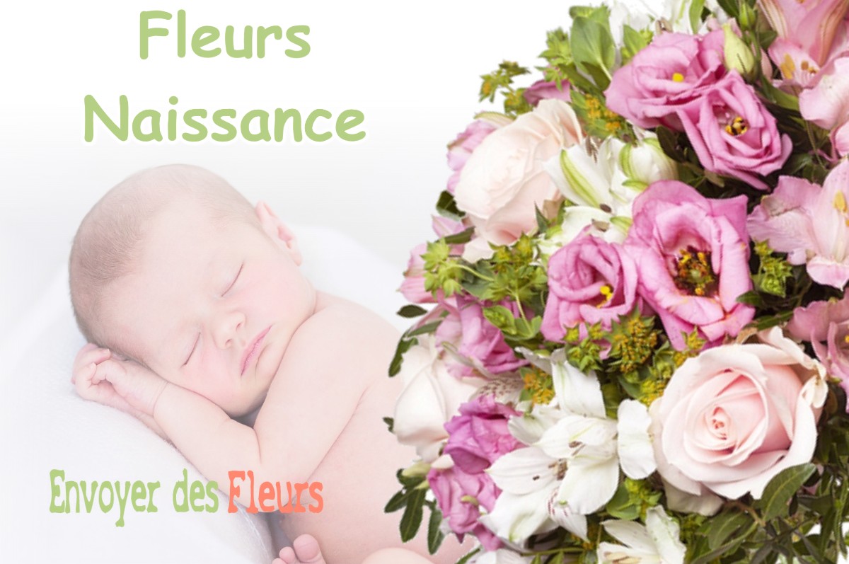 lIVRAISON FLEURS NAISSANCE à SAUBION