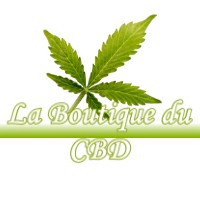 LA BOUTIQUE DU CBD SAUBION 